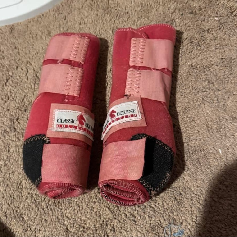 Classic Equine medium front smb -pink